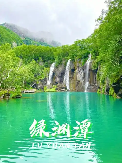 92绿渊潭,地下森林长白山的衍生景点04#绿源潭  #长白山绿源潭