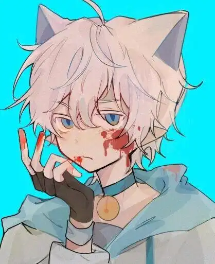 喜羊羊猫化加人化