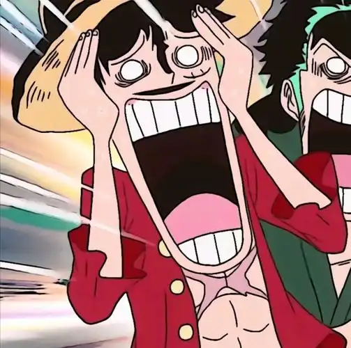 有没有适合四个兄弟的海贼王头像