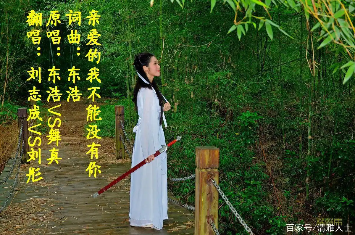 歌曲:《亲爱的我不能没有你》