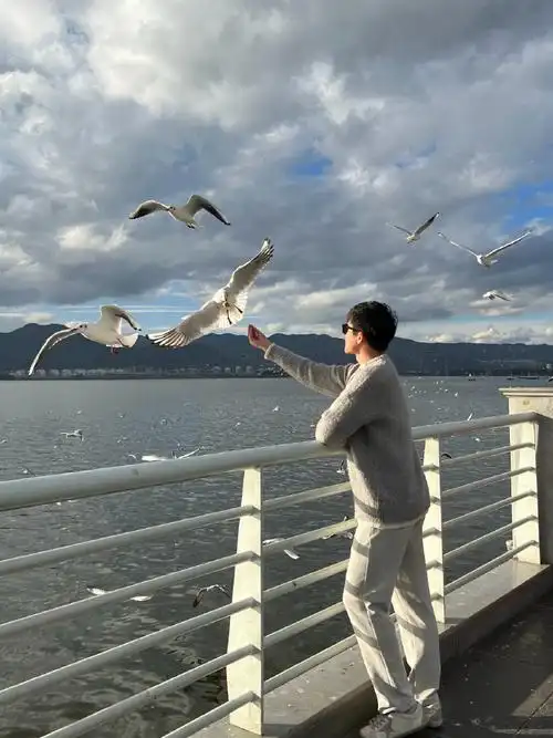 不止旅行##昆明##海鸥##v派狂欢