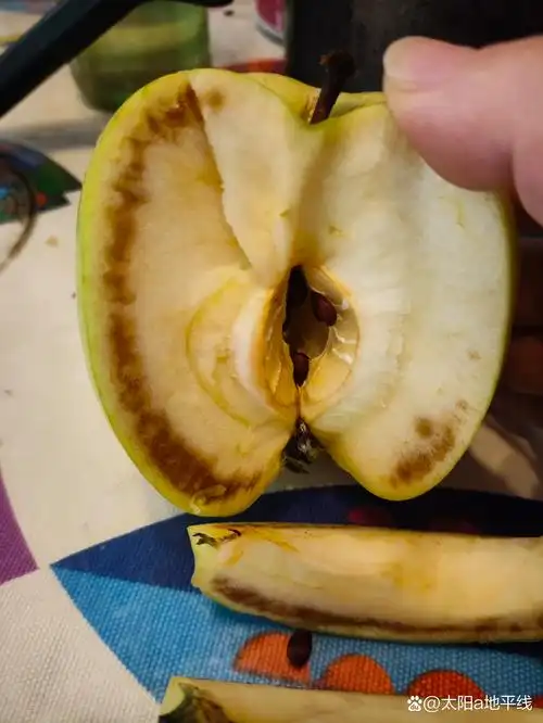 好好的青苹果,切开这个样子! 皮好好的,里层的肉尝一下还挺好!