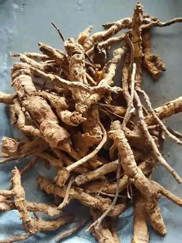 鸡骨香的功效1)鸡骨香有很好的理气止痛的作用,同时鸡骨香还有很好的