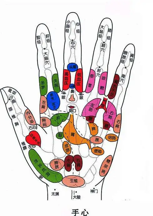 白发变黑——按摩小指头