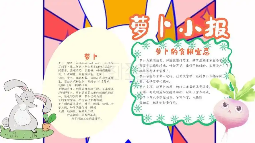 萝卜的品种和营养的手抄报 关于营养的手抄报