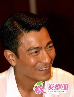 男士短发发型 > 桃姐刘德华男士发型 男人味十足(4) 导读:三七分发型