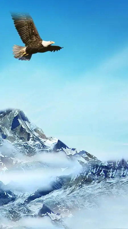 蓝天白云高山老鹰背景cdrjpg蓝色大海老鹰背景素材psdjpg精英招聘背景