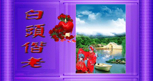 870_460gif 动态图 动图