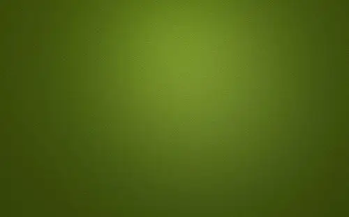 绿色简约的纹理壁纸(#1423400)/ wallbase.cc