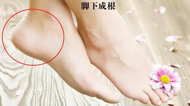 最好命的女人脚相,占两点数钱数到手抽筋!