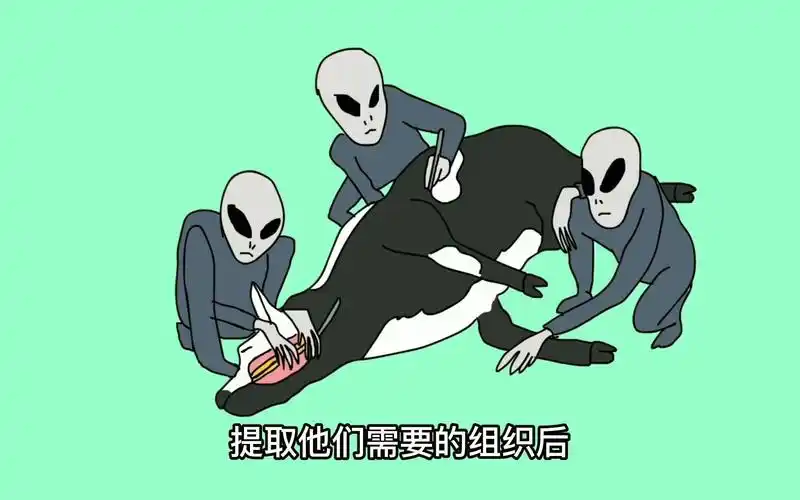活动作品大牛说奇案外星人屠牛事件