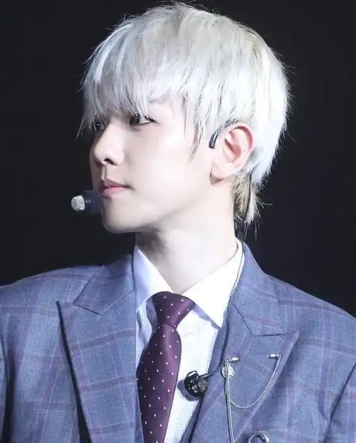 边伯贤银发/银发边大佬更多请戳此辑