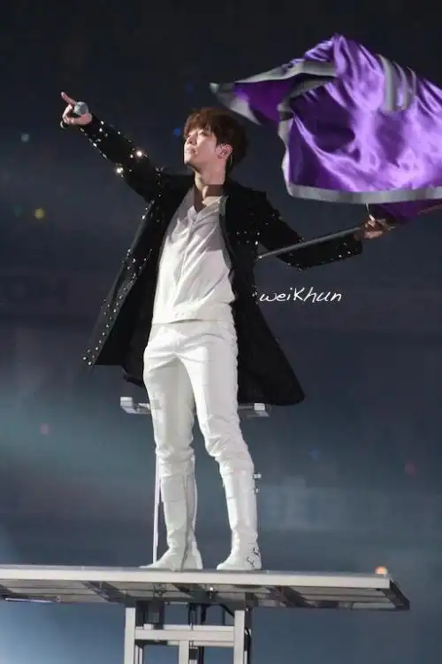 2pm东京演唱会人气爆棚 尼坤玉泽演半裸上阵(图)