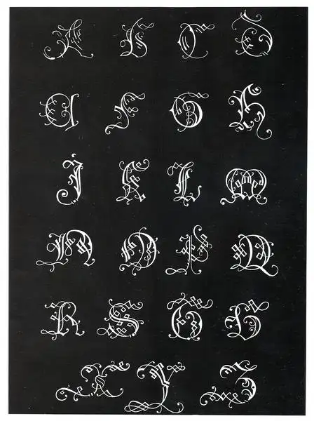 树上的女爵的相册alphabet