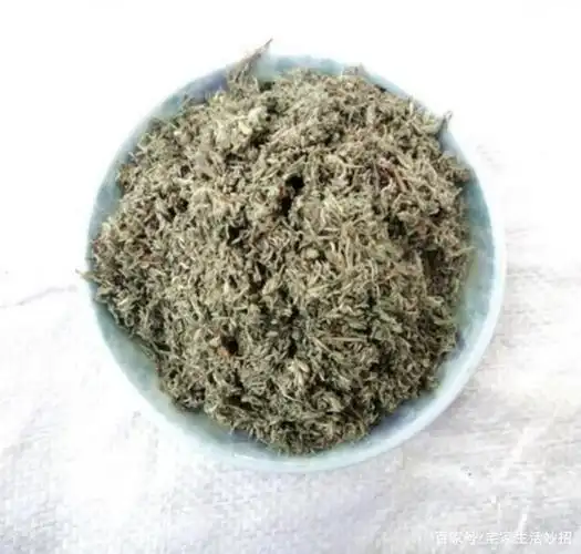 疏肝活血,清利湿热的茵陈郁金茶