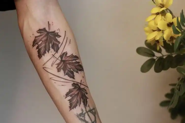 tattoo枫叶纹身
