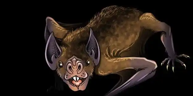 10万年前的吸血蝙蝠,翼展达50厘米,以巨型哺乳动物为菜谱