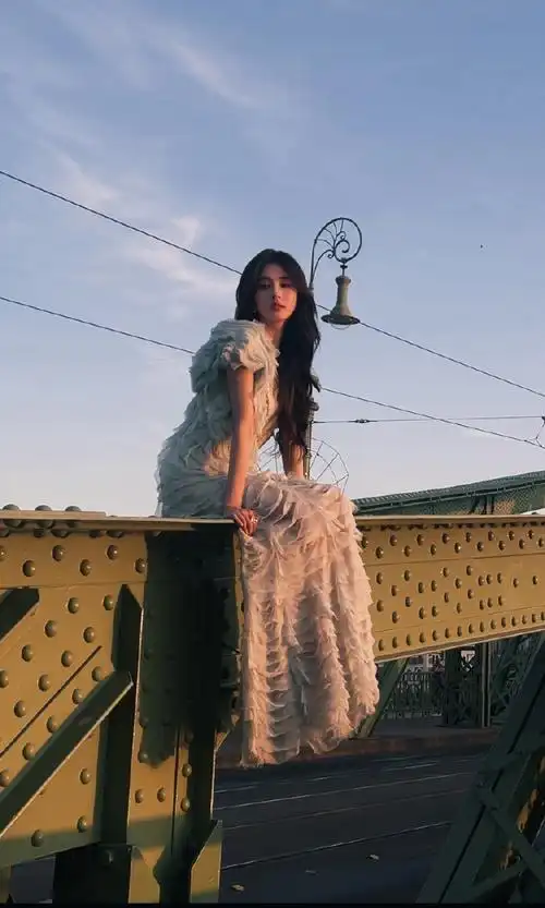 壁纸 动物 狗 狗狗 690_1149 竖版 竖屏 手机