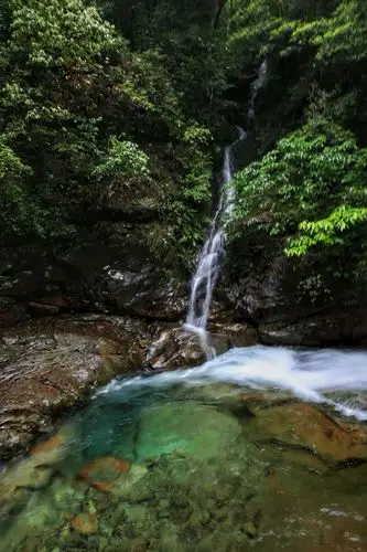 武义牛头山匆匆一瞥