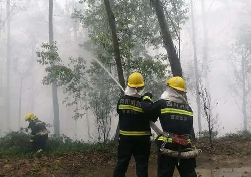 森林防火隔离带设置的法律依据是什么?设置规范又有哪些呢?-好律师网