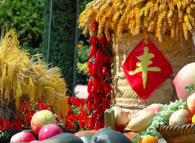 丰收时节春种一粒粟秋收万颗子