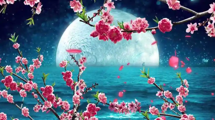 2015羊年中秋节梅花月亮花瓣唯美月色led大屏幕视频背景