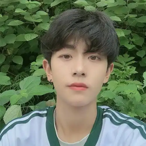 网红同款假发男短发齐刘海韩版帅气逼真自然蓬松学生男士全头套式