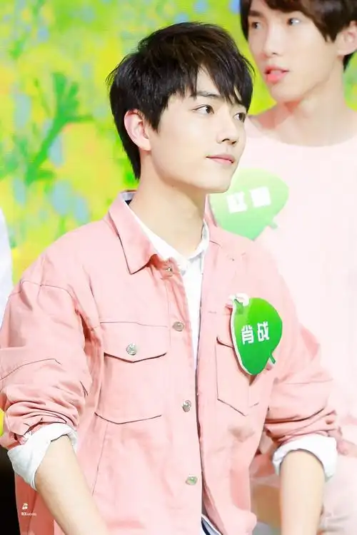 肖战170314天天向上