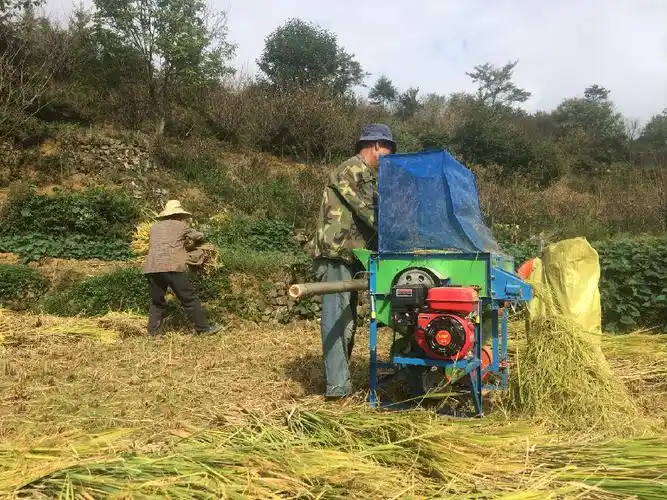 新型水稻脱粒机在山区农田显神威