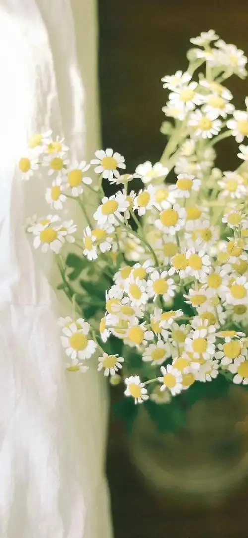 唯美,夏日清新风景图片,治愈系风景图片小清新,夏天风景美图超清 唯美