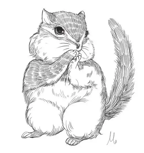 线稿临摹可可爱爱小动物