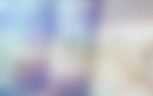 ios7主题高清背景图片,2560x1600像素淡雅模糊,磨砂玻璃效果ppt图片.