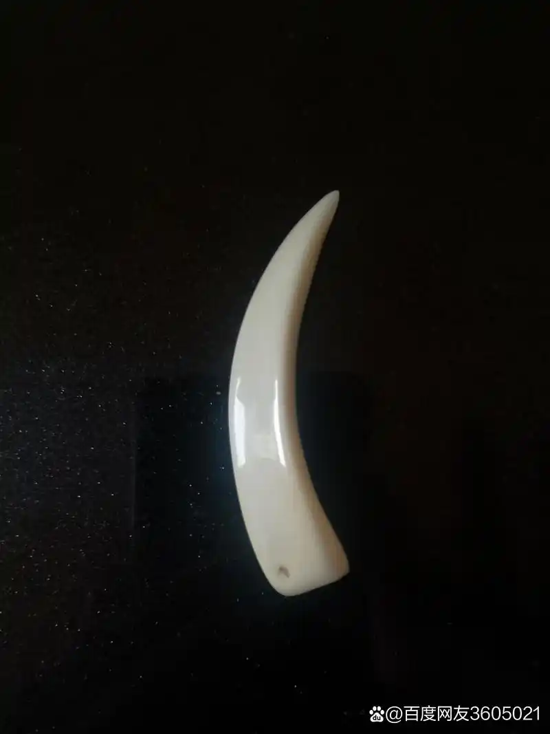 正中野猪牙收藏