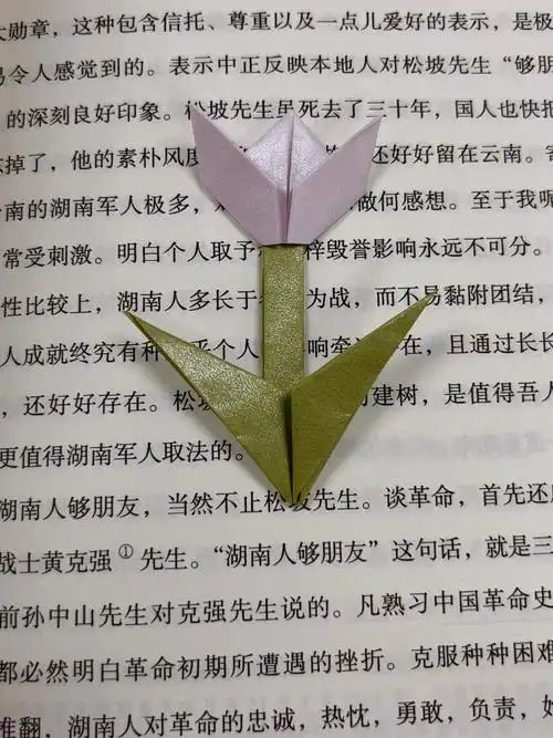 折纸  #折纸教程  #手工  #书签  #自制书签  #我的手工日常