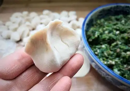 这菜是个宝,半个月就老了,包饺子最好吃,清香多汁又营养!