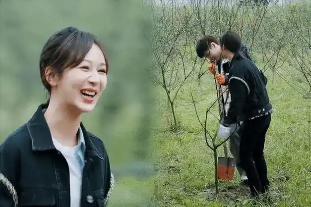 杨紫恋爱风波持续升级,1天扯出6位男星,更多细节被扒疑有实锤|张一山