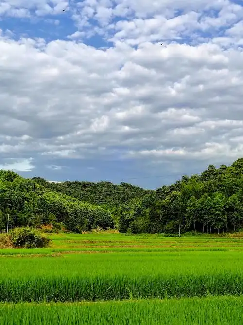 身边的风景身边的美丽身边的感动大自然的语言高深莫测