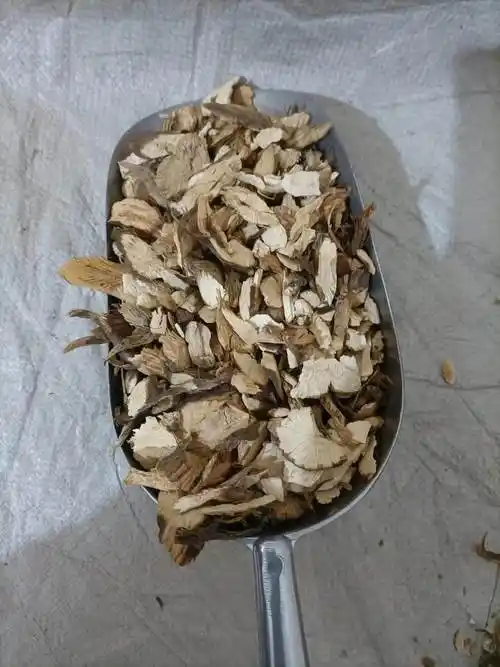 中药材白毛藤批发