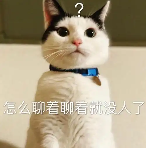 萌宠猫星人怎么聊着聊着人没了惊讶呆萌可爱gif动图_动态图_表情包