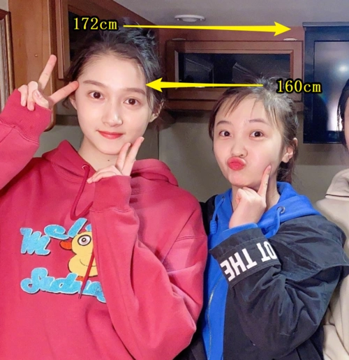 除了颜值之外,两人还存在着12cm的身高差.