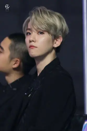 边伯贤/圈粉无数令无数少女心泛起涟漪的银发大佬拜托爱上我!