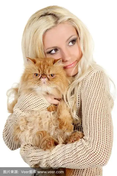 漂亮的年轻女人和波斯猫