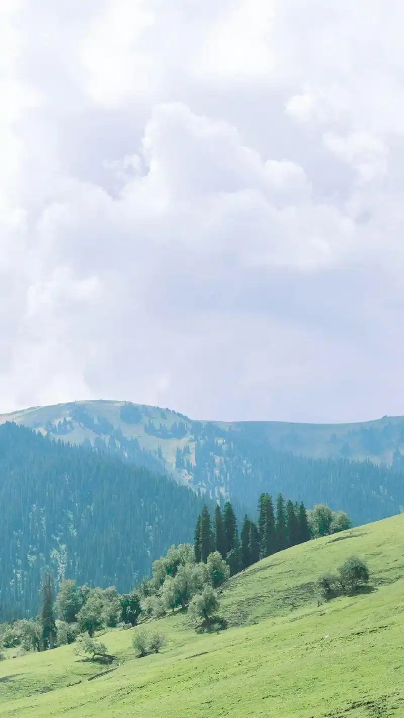 大自然清新风景图片手机壁纸