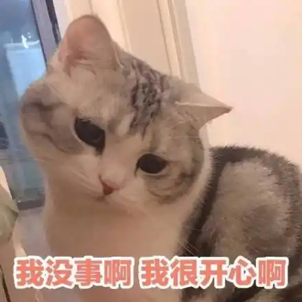 我没事啊我很开心啊(猫咪)_没事_开心_猫咪表情