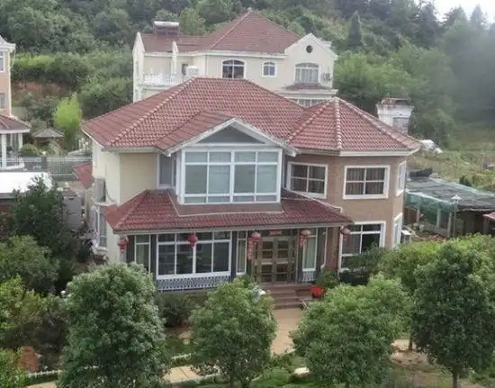 继"气功大师"王林在江西省萍乡市芦溪县的豪华别墅——"王府"被摘牌后