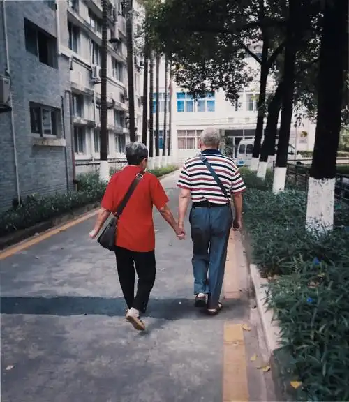 一对牵手的老年夫妇 - alexvaske - 图虫