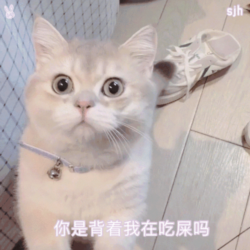 沙雕表情包|网上很火的动态表情包|动态沙雕表情包|搞笑又沙雕的表情