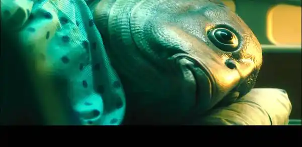 鱼男突变:是什么逼迫他甘愿做一只鱼