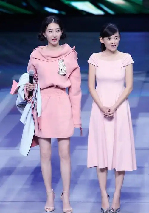 再说,姐姐的五官真的没妹妹那么出彩,特别是嘴巴,你看王丽坤的嘴巴多