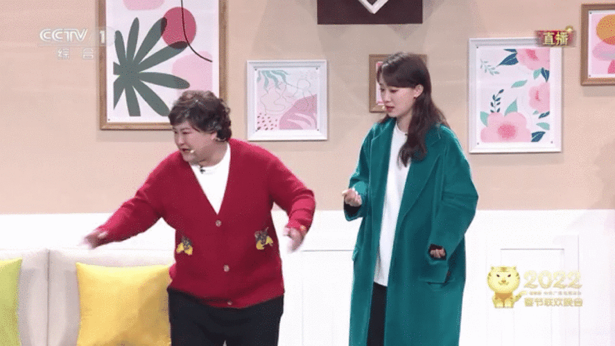 央视春晚进行中,贾玲张小斐在小品中说"我这只爱情鸟飞走了"